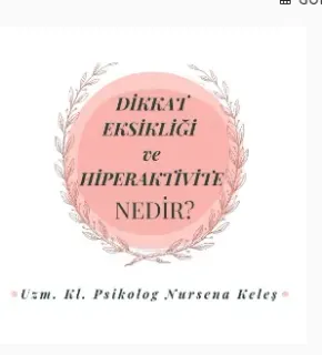 Kl. Psk. Nursena Dedeoğlu profilinde yer alan galeri fotoğrafı.