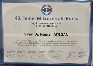Op. Dr. Numan Atılgan profilinde yer alan galeri fotoğrafı.
