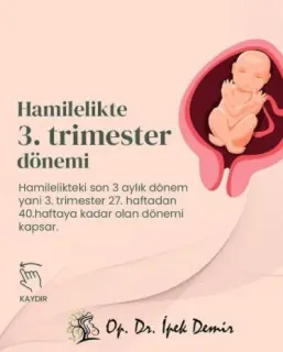 Op. Dr. İpek Demir profilinde yer alan galeri fotoğrafı.