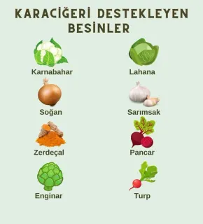 Dyt. Belkıs Öztürk profilinde yer alan galeri fotoğrafı.