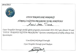 Kl. Psk. Dr. Aylin İpek Timur profilinde yer alan galeri fotoğrafı.