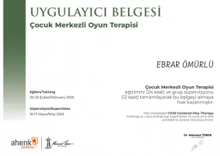 Psk. Ebrar Ömürlü profilinde yer alan galeri fotoğrafı.