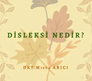 Dkt. Mısra Arıcı profilinde yer alan galeri fotoğrafı.