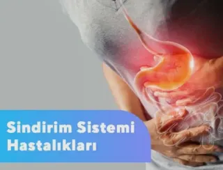 Prof. Dr. Umut Barbaros profilinde yer alan galeri fotoğrafı.