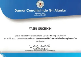 Op. Dr. M. Yasin Güctekin profilinde yer alan galeri fotoğrafı.