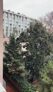 Kl. Psk. Dilara Gürel profilinde yer alan galeri fotoğrafı.
