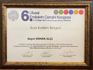 Doç. Dr. Erman Alçı profilinde yer alan galeri fotoğrafı.