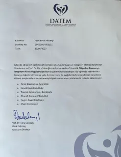 Kl. Psk. Ayşe Betül Köstekçi profilinde yer alan galeri fotoğrafı.