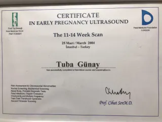 Dr. Öğr. Üyesi Tuba Günay profilinde yer alan galeri fotoğrafı.