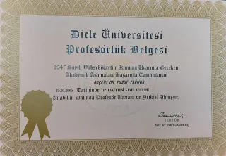 Prof. Dr. Yusuf Yağmur profilinde yer alan galeri fotoğrafı.