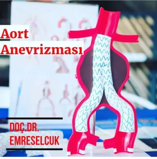 Doç. Dr. Emre Selçuk profilinde yer alan galeri fotoğrafı.