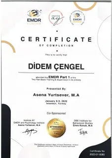 Kl. Psk. Didem Çengel profilinde yer alan galeri fotoğrafı.