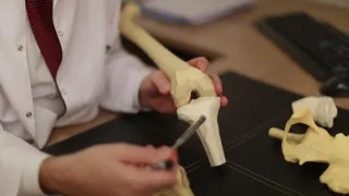 Prof. Dr. Alper Gökçe profilinde yer alan galeri fotoğrafı.