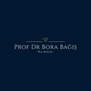 Prof. Dr. Bora Bağış profilinde yer alan galeri fotoğrafı.