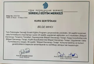 Psk. Bilge Mıhcı profilinde yer alan galeri fotoğrafı.