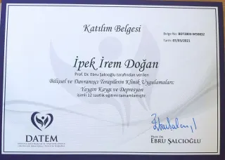 Psk. İpek İrem Doğan profilinde yer alan galeri fotoğrafı.