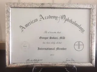 Prof. Dr. Güngör Sobacı profilinde yer alan galeri fotoğrafı.