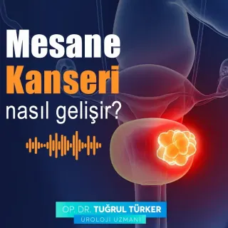 Op. Dr. Tuğrul Türker profilinde yer alan galeri fotoğrafı.