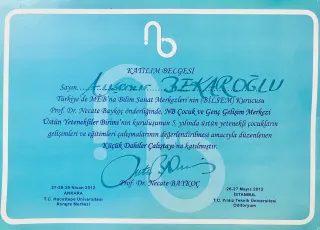 Ayşenur Bekaroğlu profilinde yer alan galeri fotoğrafı.