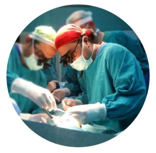 Prof. Dr. Murat Alkan profilinde yer alan galeri fotoğrafı.