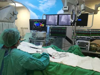 Prof. Dr. Basri Amasyalı profilinde yer alan galeri fotoğrafı.