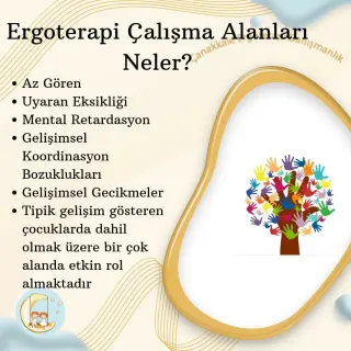 Erg. Ayça Yüksel profilinde yer alan galeri fotoğrafı.