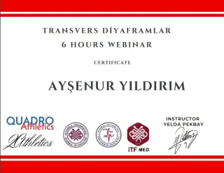 Fzt. Ayşenur Yıldırım profilinde yer alan galeri fotoğrafı.