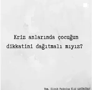 Kl. Psk. Elif Şahingiray profilinde yer alan galeri fotoğrafı.