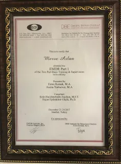 Kl. Psk. Merve D. Aslan profilinde yer alan galeri fotoğrafı.