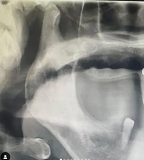 Doç. Dr. Hasan Onur Şimşek profilinde yer alan galeri fotoğrafı.