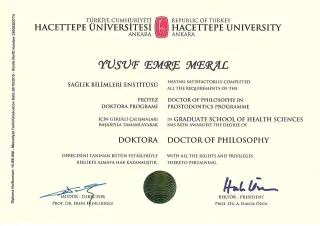 Dr. Dt. Yusuf Emre Meral profilinde yer alan galeri fotoğrafı.