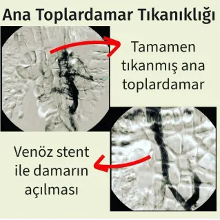 Doç. Dr. Emre Selçuk profilinde yer alan galeri fotoğrafı.