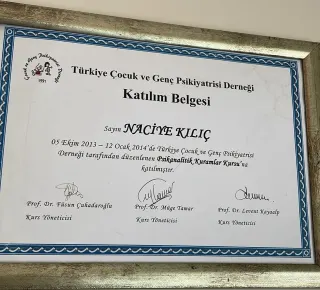 Uzm. Dr. Naciye Kılıç Aydın profilinde yer alan galeri fotoğrafı.