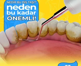 Dt. Tülin Coşkun profilinde yer alan galeri fotoğrafı.