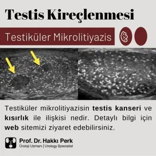 Prof. Dr. Hakkı Perk profilinde yer alan galeri fotoğrafı.