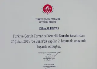 Dr. Öğr. Üyesi Dilan Altıntaş Ural profilinde yer alan galeri fotoğrafı.