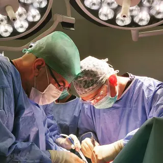 Doç. Dr. Ersin Borazan profilinde yer alan galeri fotoğrafı.