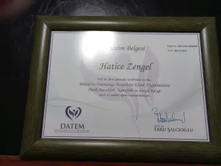 Psk. Hatice Zengel profilinde yer alan galeri fotoğrafı.