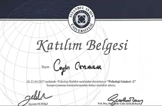 Psk. Ceylin Arsoy profilinde yer alan galeri fotoğrafı.