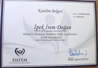 Psk. İpek İrem Doğan profilinde yer alan galeri fotoğrafı.