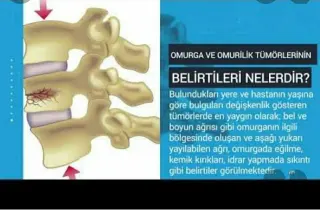 Op. Dr. Feridun Kubilay profilinde yer alan galeri fotoğrafı.
