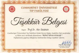 Prof. Dr. Nuri Özgirgin profilinde yer alan galeri fotoğrafı.