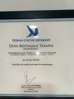 Erg. Tuana Yıldız profilinde yer alan galeri fotoğrafı.