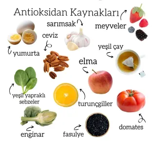 Dyt. Efnan Bektan profilinde yer alan galeri fotoğrafı.