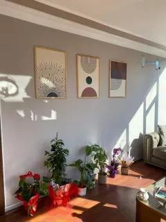 Uzm. Psk. Damla Taşan Güvener profilinde yer alan galeri fotoğrafı.
