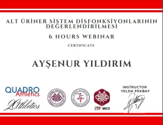 Fzt. Ayşenur Yıldırım profilinde yer alan galeri fotoğrafı.