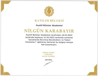 Psk. Nilgün Karabayır profilinde yer alan galeri fotoğrafı.
