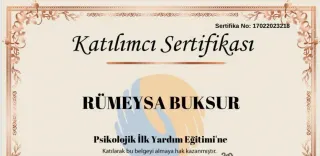 Psk. Rümeysa Buksur profilinde yer alan galeri fotoğrafı.