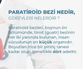 Prof. Dr. Ayhan Bülent Erkek profilinde yer alan galeri fotoğrafı.
