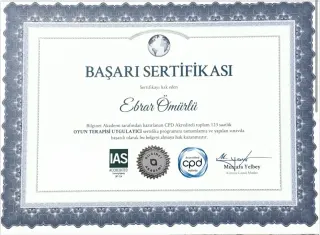 Psk. Ebrar Ömürlü profilinde yer alan galeri fotoğrafı.